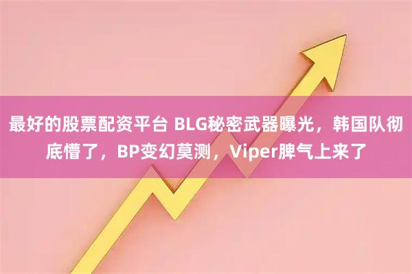 最好的股票配资平台 BLG秘密武器曝光,韩国队彻底懵了,BP变幻莫测,Viper脾气上来了